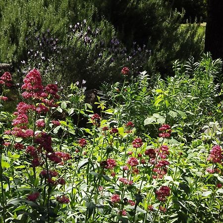 Backyard Garden Oasis Bed & Breakfast Middletown Eksteriør bilde