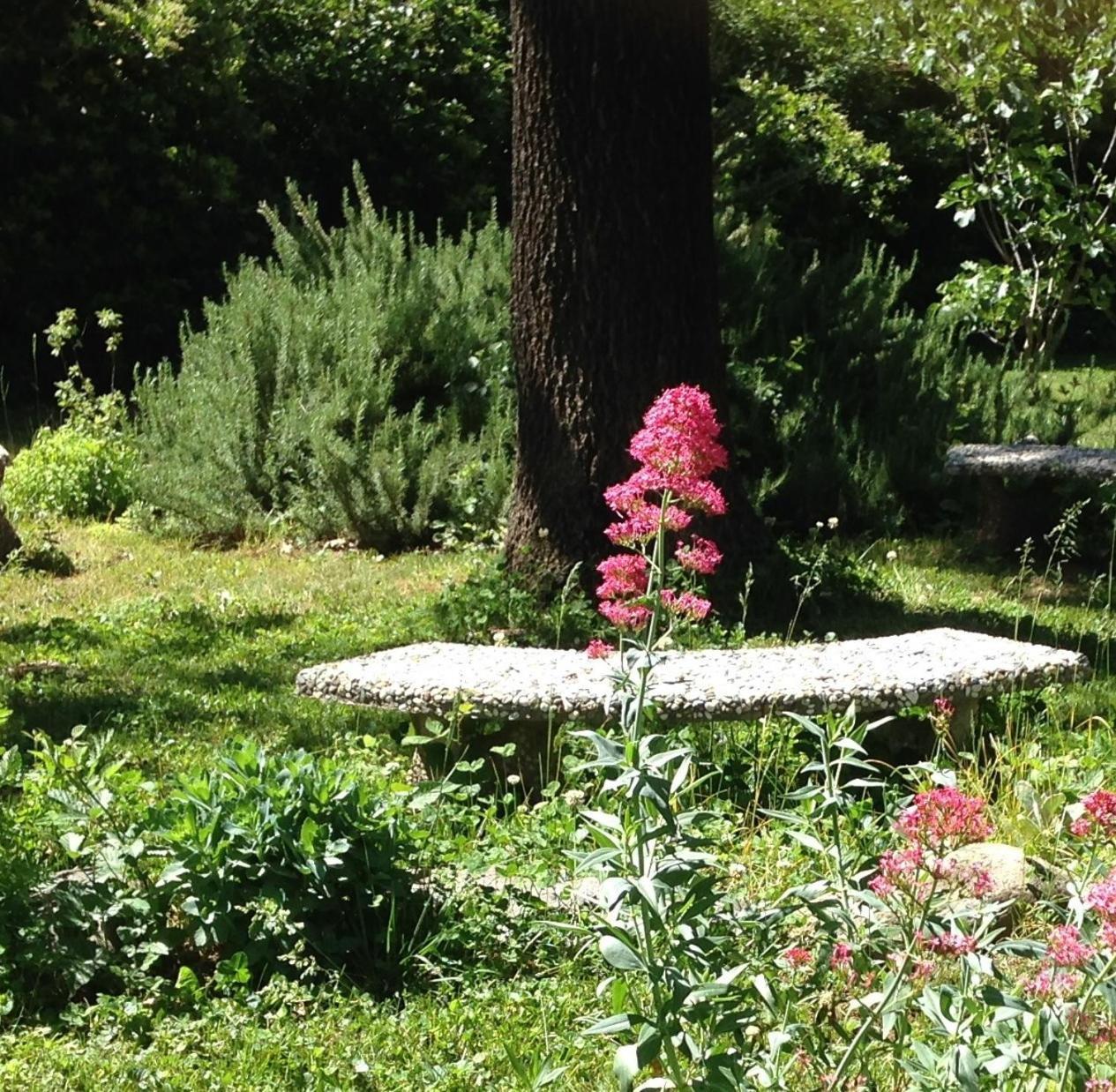 Backyard Garden Oasis Bed & Breakfast Middletown Eksteriør bilde