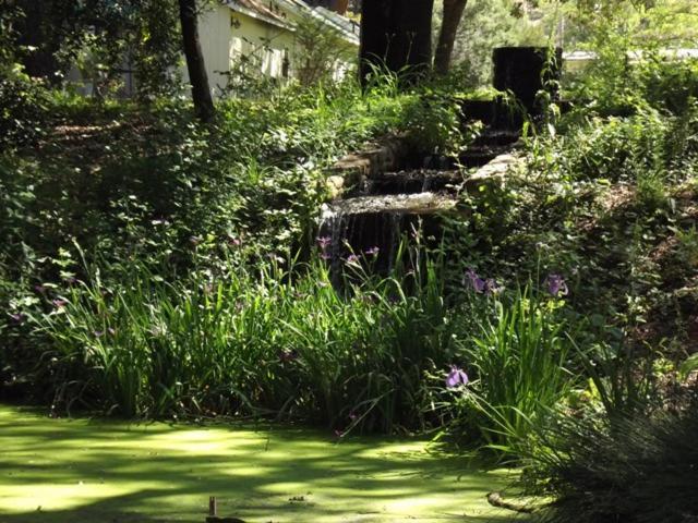 Backyard Garden Oasis Bed & Breakfast Middletown Eksteriør bilde