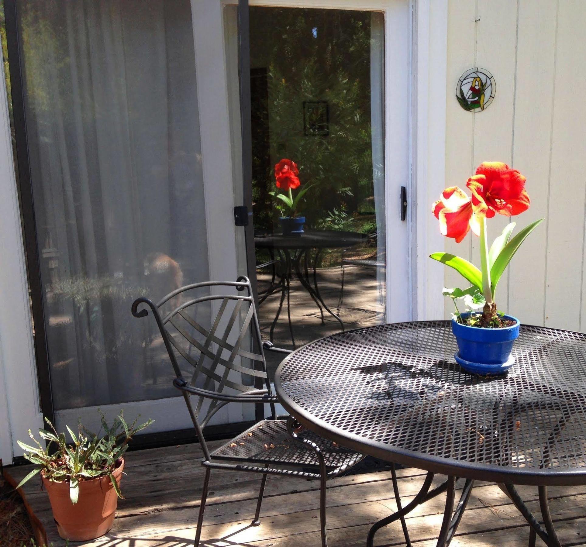 Backyard Garden Oasis Bed & Breakfast Middletown Eksteriør bilde